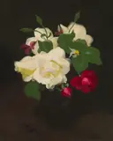 Stuart Park, WHITE ROSES, oil on canvas