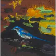 David Michie, SCRUB JAY, SANTA BARBARA, oil on canvas board
