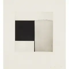 Callum Innes, V, 2004, Polymer intaglio print with chine colle, 2/30