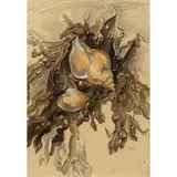Gertrude Hermes, SEAWEED AND SHELLS, 1948
