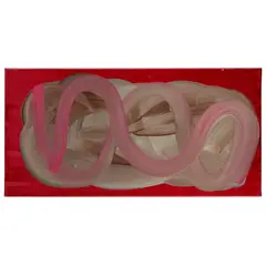 Mali Morris, MULBERRY, 1997, acrylic on canvas
