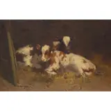 David Gauld, CALVES IN A BYRE, oil on canvas