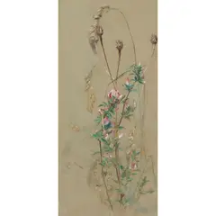 Edwin John Alexander, GRASSES, watercolour on buff paper