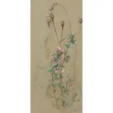 Edwin John Alexander, GRASSES, watercolour on buff paper