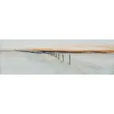 James Morrison, FENCE AND RED SKY, 1982, oil on board