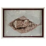 Bernard Meadows, Fish Relief, 1955, Opus 19