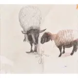 Mary Newcomb, Ewe and Lamb, ink, crayon and wash on paper