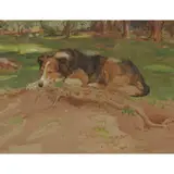 William Walls, SLEEPING COLLIE, OPSIDALE, 1909, watercolour on buff paper