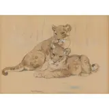 William Walls, LION CUBS, watercolour and pencil,