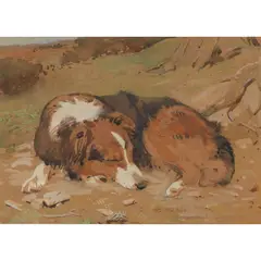 William Walls, SLEEPING COLLIE, OPSIDALE, SEPT 1909, watercolour on buff paper,