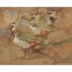 Ralston Gudgeon, GREEN PLOVERS, watercolour on buff paper