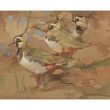 Ralston Gudgeon, GREEN PLOVERS, watercolour on buff paper