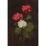 Stuart Park, A STILL LIFE OF RED AND WHITE GERANIUMS, oil on canvas