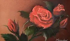 Eileen Meagher, Roses, 1999, pastel on card