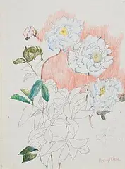 Patrick Hickey, Peony, crayon on paper