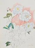 Patrick Hickey, Peony, crayon on paper