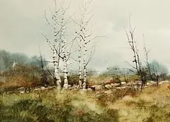 Phyllis del Vecchio, Edge of the Bog, watercolour on paper