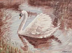 Pat Phelan, The Swan, oil on board