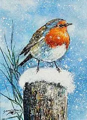 Andy Saunders, Winter Robin, acrylic on board
