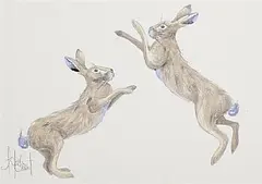 Anne Jolivet, Boxing Hares, watercolour on paper