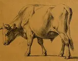 Eugène Verboeckhoven, The Bull, pencil on paper