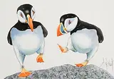 Anne Jolivet, Prancing Puffins, watercolour on paper