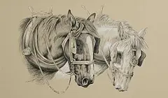 J.E Heasley, Plough Horses, pencil on paper