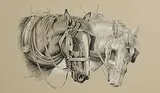 J.E Heasley, Plough Horses, pencil on paper
