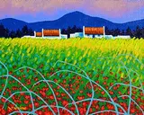 John Nolan, Wicklow Poppies, acrylic on board
