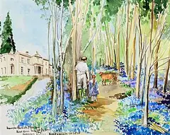 Francis Bunch Moran, Bluebell Woods, Capard House, Co. Laois, watercolour on paper