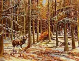 Victor Cirefice, Stag in Tollymore Park, 1989, oil on canvas