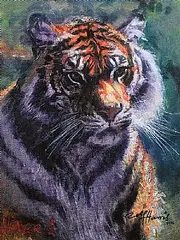 Rolf Harris, Tiger in the Sun, limited edition canvas print - number 57 from an edition of 75 - aside from 8 artist's proofs