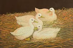 Barry McGloin, Nesting, pastel on card