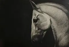 Paddy Lennon, Horse Study, 2006, charcoal