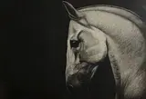 Paddy Lennon, Horse Study