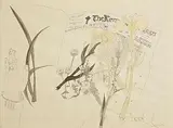 Pauline Bewick, The Kerryman, watercolour and ink on paper