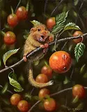 Steve Burgess Canadian, Harvest Mouse, oil on canvas
