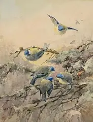 Blue Tits, Lismore by Helen O'Hara, watercolour on paper, sold Sep 2026