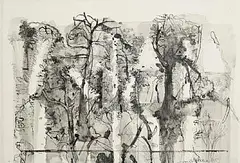 David Crone, Forest Edge, 2005, ink and wash on paper