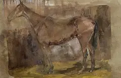 Basil Blackshaw, Study of a Horse, mixed media on paper