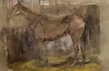 Basil Blackshaw, Study of a Horse, mixed media on paper