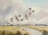 Robert W. Milliken, Springing Teal, Fisk Estate, Wexford