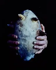 Dorothy Cross, Rugby Ball, 2005, limited edition cibachrome - number 79 from an edition of 100