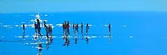 John Morris, Inchydoney Summer, West Cork, acrylic on board