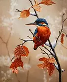 Steve Burgess Canadian, Kingfisher, oil on board