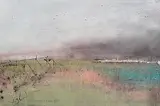 Colin Flack, The Curragh, oil on board