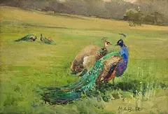 Peacocks at Kilmurry by Mildred Anne Butler, watercolour on paper, sold Jan 2026