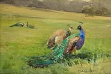 Peacocks at Kilmurry by Mildred Anne Butler, watercolour on paper, sold Jan 2026