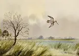 Robert W. Milliken, Snipe in Flight