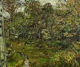 Nick Miller, Path, Autumn Rain